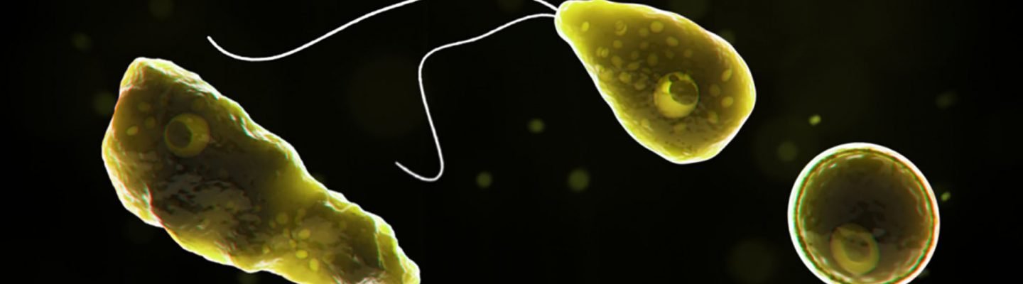 Amoeba sa utak, puminsala sa 10 katao sa Pakistan