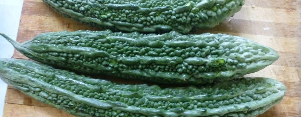 Ampalaya