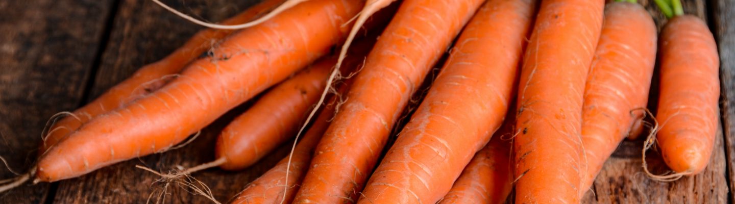 Karot (Carrot)