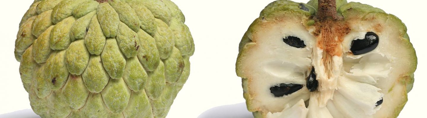 Atis