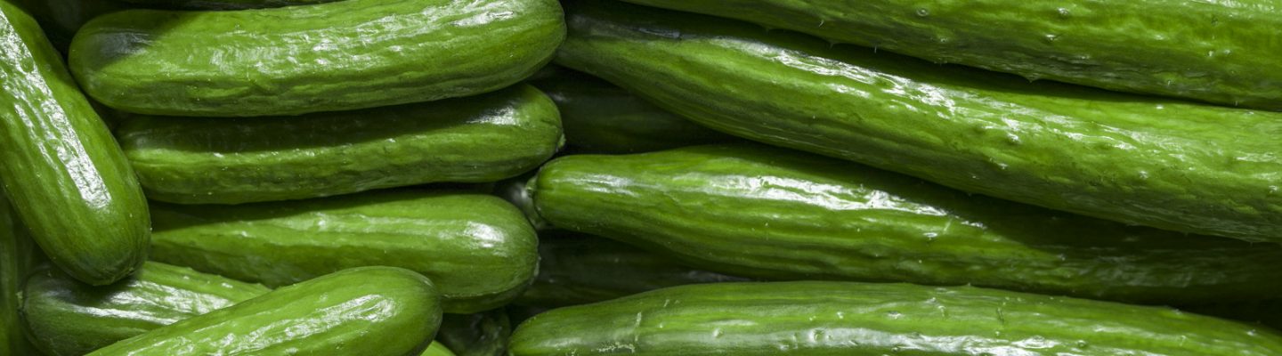 Pipino