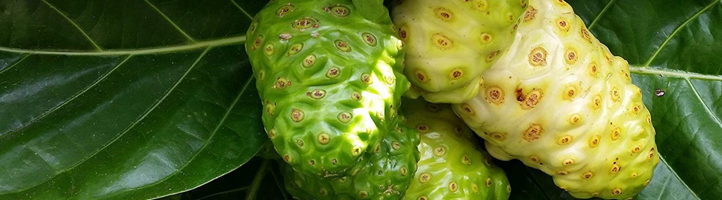 Apatot (Noni)