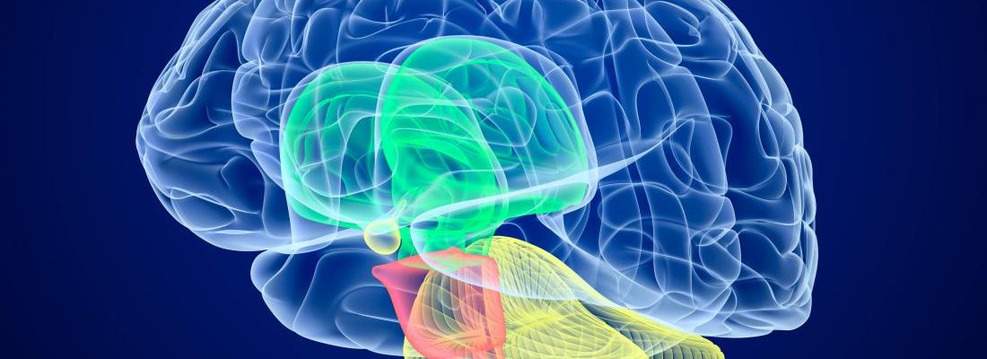Cerebral Palsy