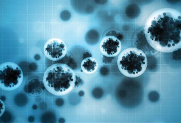 tuberculosis virus