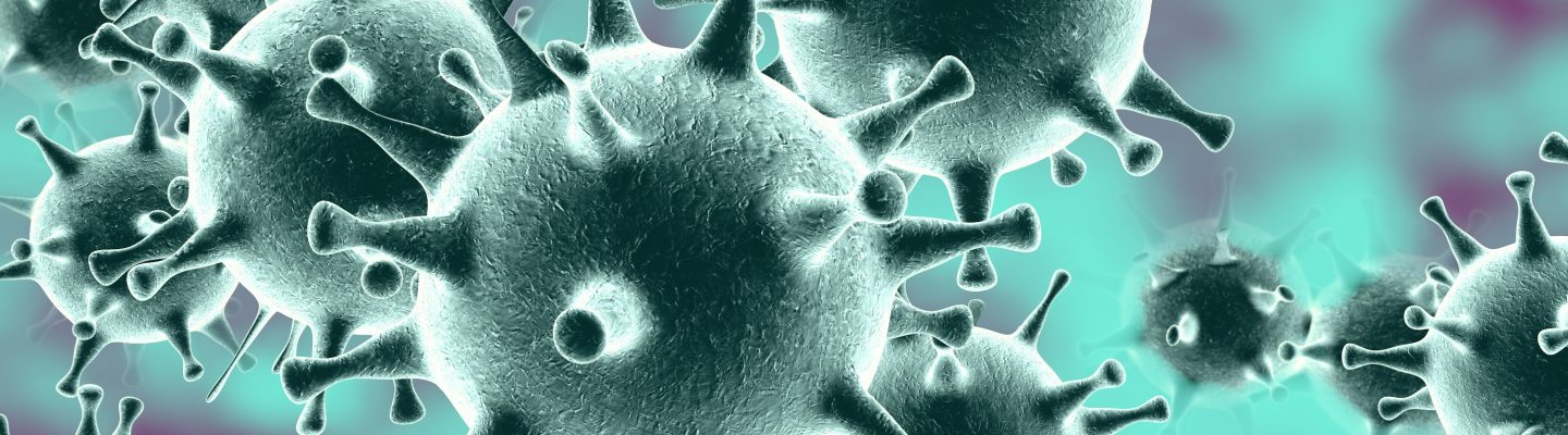 Middle East Respiratory Syndrome (MERS)