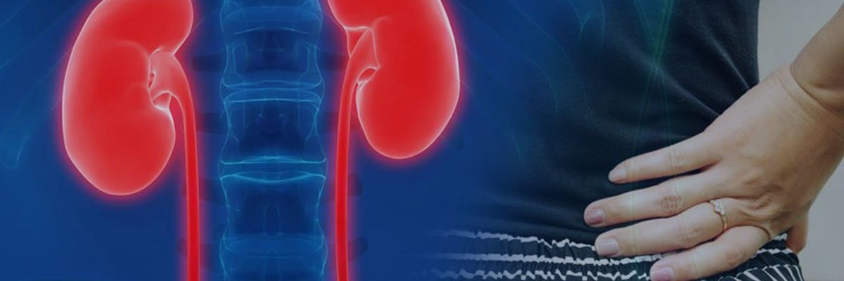 Impeksyon sa Bato (Kidney Infection)