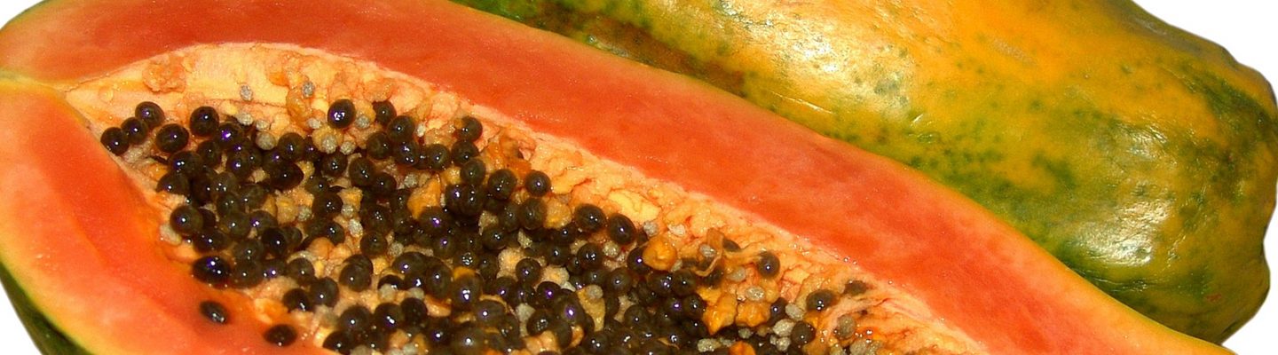 Papaya
