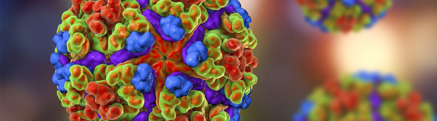 Mga kaalaman tungkol sa Chikungunya virus