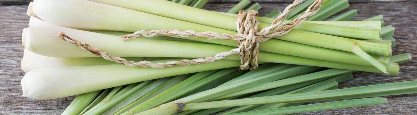 Citronella