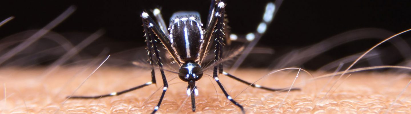 Balitang Kalusugan: Isang bayan sa Isabela, isinailalim sa State of Calamity dahil sa Dengue
