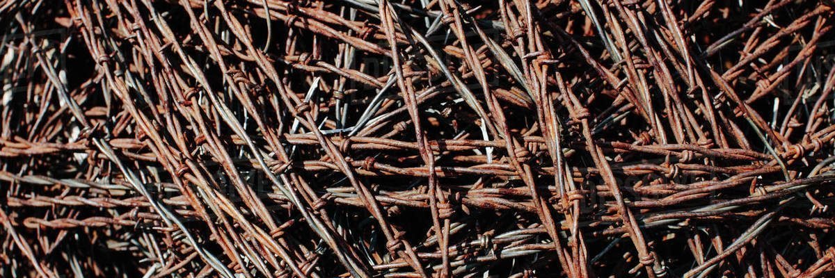 Tetano (Tetanus)