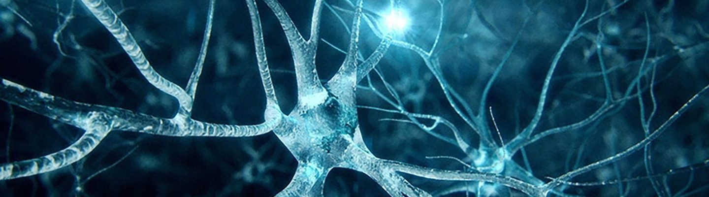 Ano ang gamot sa epilepsy?