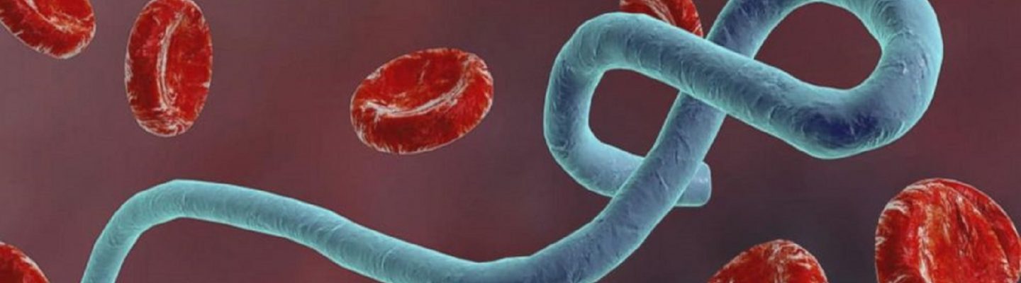 Mga kaso ng Ebola, naitala sa Estados Unidos at Espanya