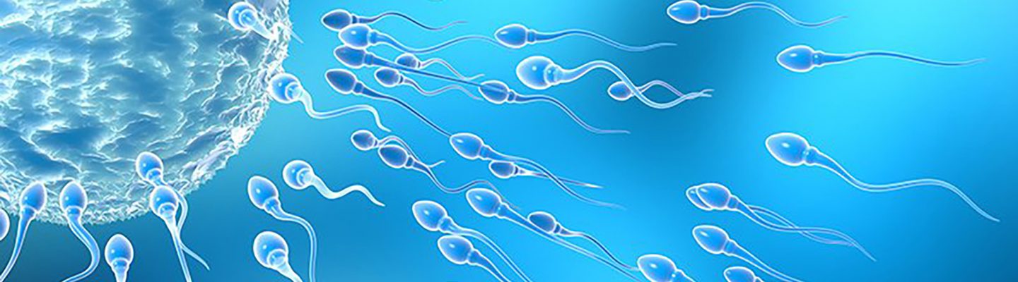 Pagkabaog o Infertility: Kaalaman at Sanhi