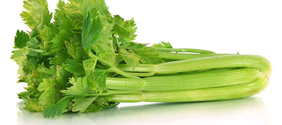 Kintsay (Celery)