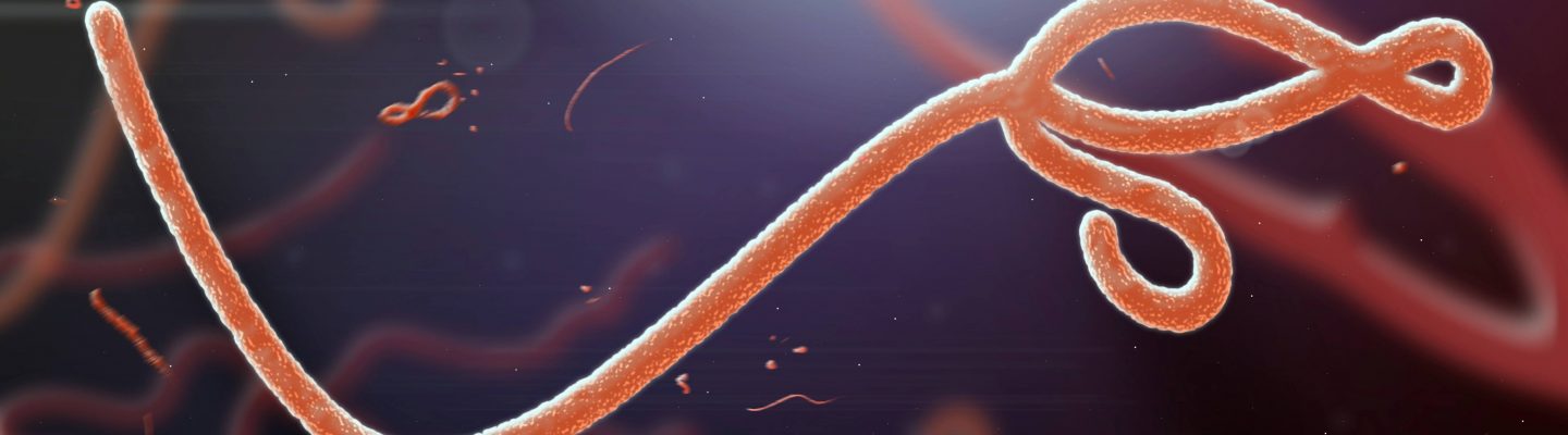 Balitang Kalusugan: Ilang unggoy sa Pilipinas, positibo sa Ebola Reston Virus