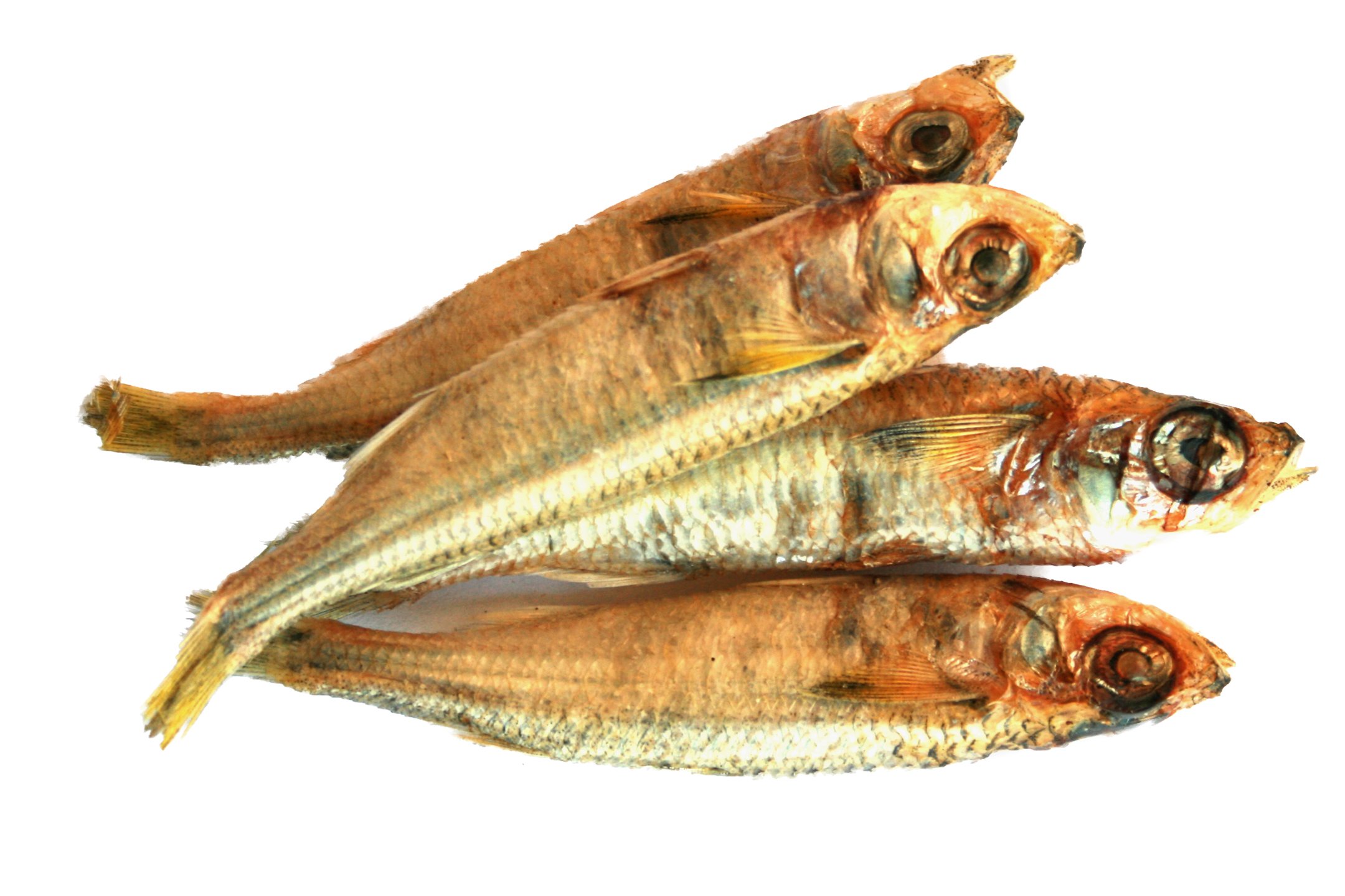 tuyo