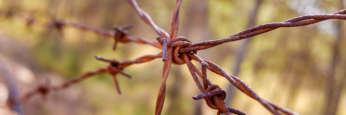 Tetano (Tetanus)